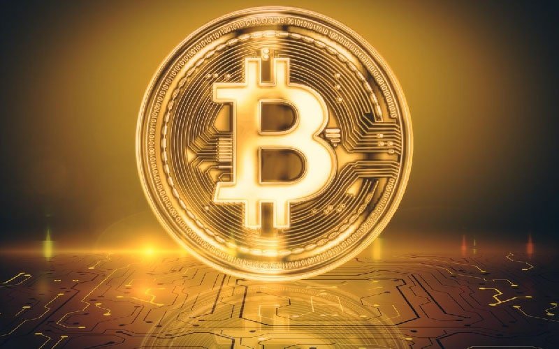 How to Buy Bitcoin?- Basic Guide in 2021 - Wizard Journal